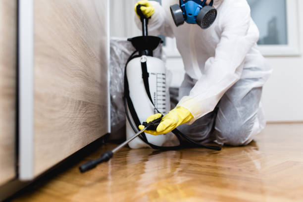 Best Commercial Pest Control Services  in West Hollywood, CA
