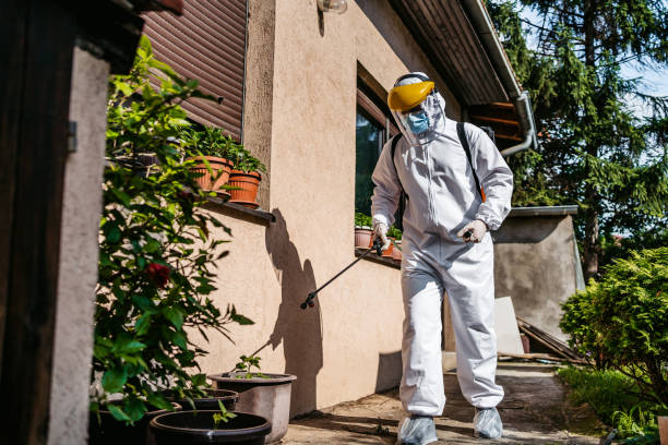 Best Wasp Removal Services  in West Hollywood, CA