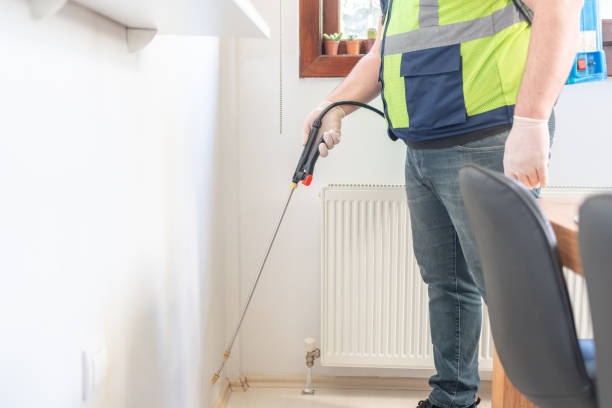 Best Ant Control Services  in West Hollywood, CA