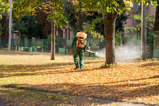 Trusted West Hollywood, CA Pest Control Experts