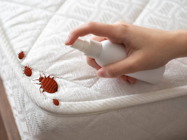 Best Pest Control Cost  in West Hollywood, CA