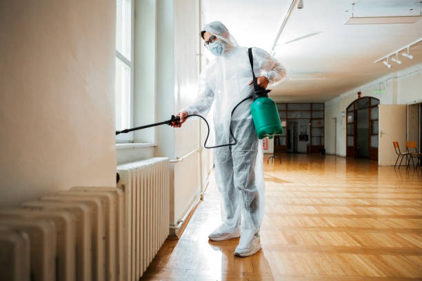 Best Cockroach Control Services  in West Hollywood, CA