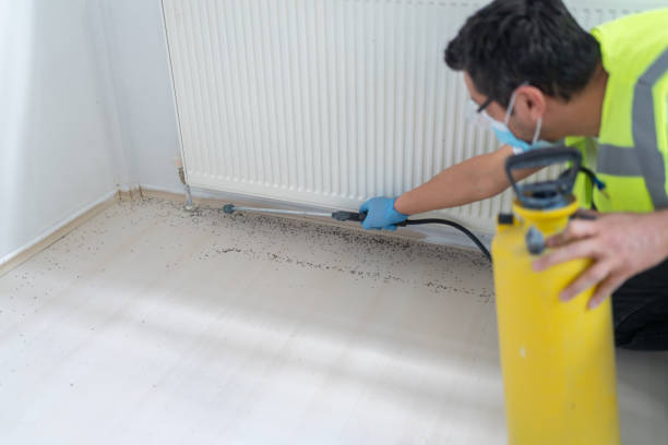 Best Wasp Removal Services  in West Hollywood, CA