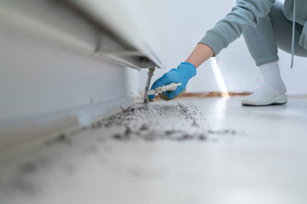 Best Pest Control for Businesses  in West Hollywood, CA